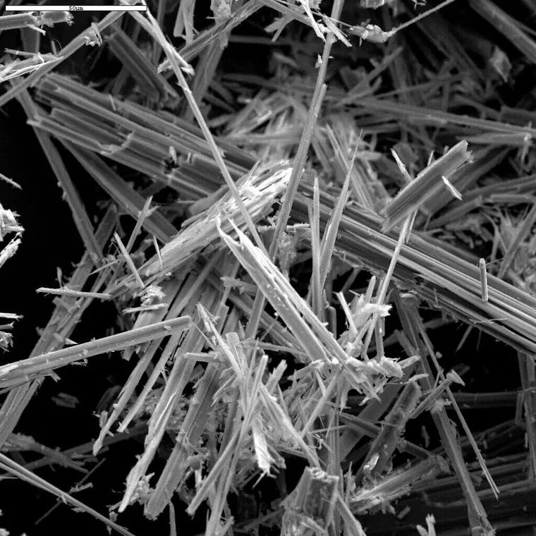 Asbestvezels onder de microscoop